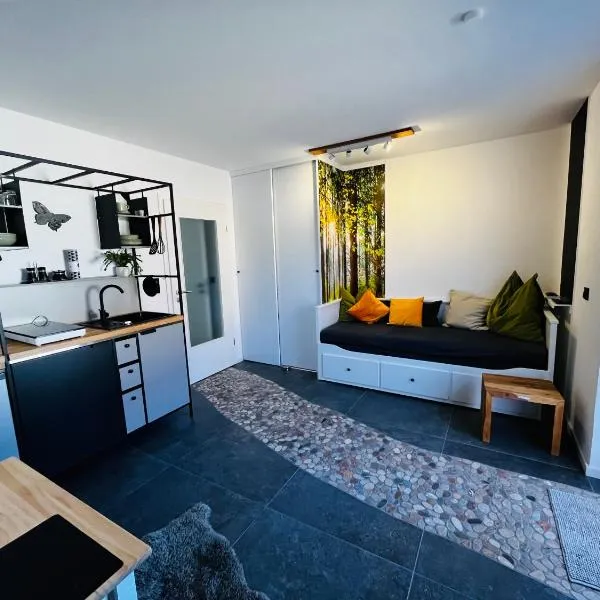 Appartement Little Rose，位于马克特奥伯多夫的酒店