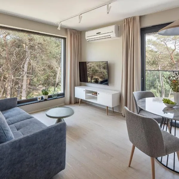 Apartamenty na Półwyspie Wydma&Las，位于亚斯塔尔尼亚的酒店