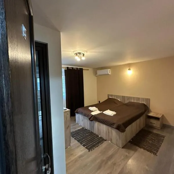 LRMS Sport Club，位于Păuleştii Noi的酒店