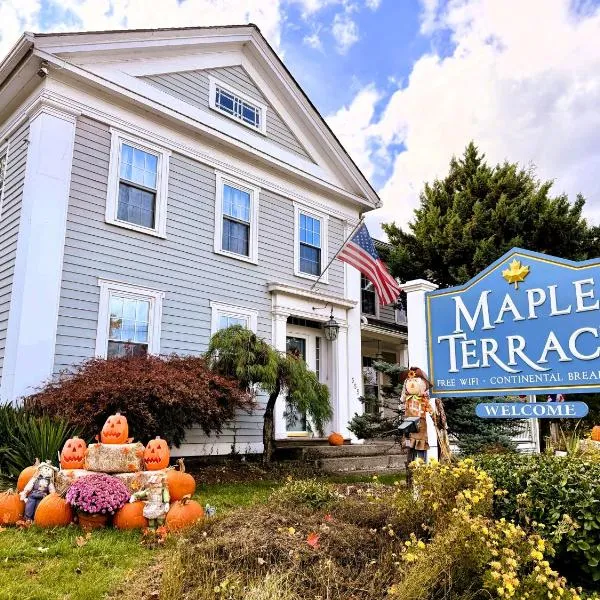 枫叶苔瑞斯汽车旅馆，位于威廉斯敦的酒店