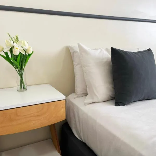 阿尔皮诺酒店，位于布宜诺斯艾利斯的酒店