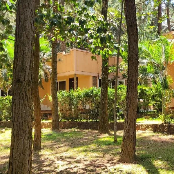 Saltek Forest Cottages，位于Masindi的酒店