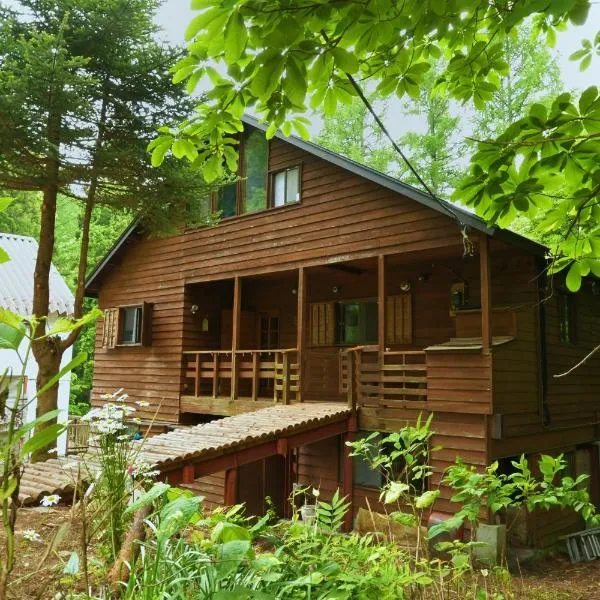 Warm Spacious Forest Chalet & Private Onsen，位于水上町的酒店