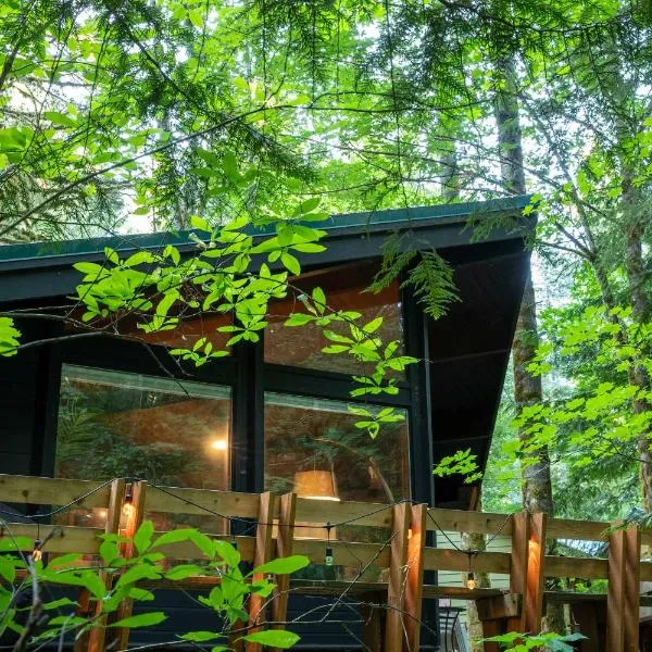 Mid-century Cabin Hideaway - Hot Tub & Fire Pit，位于Rhododendron的酒店
