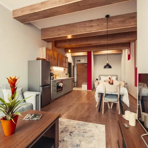 Rila Zen Apartment，位于萨莫科夫的酒店