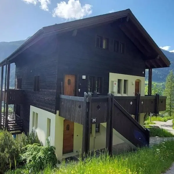 Ferienwohnung Aragon M88，位于埃尔嫩的酒店