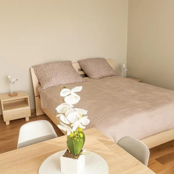 Apartament 35 Tuchola，位于图霍拉的酒店