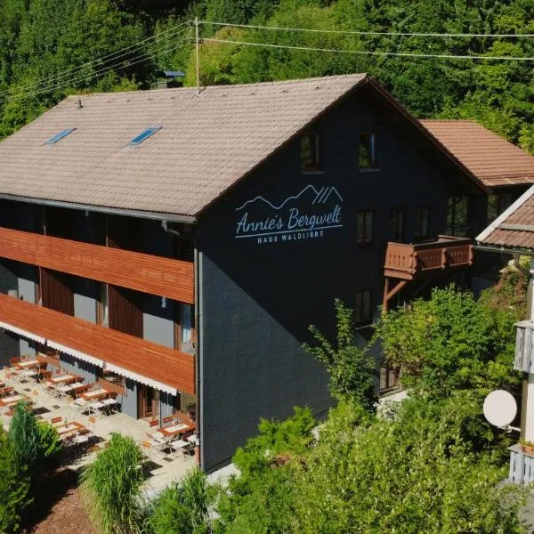 Annies Bergwelt Haus Waldliebe，位于博登迈斯的酒店