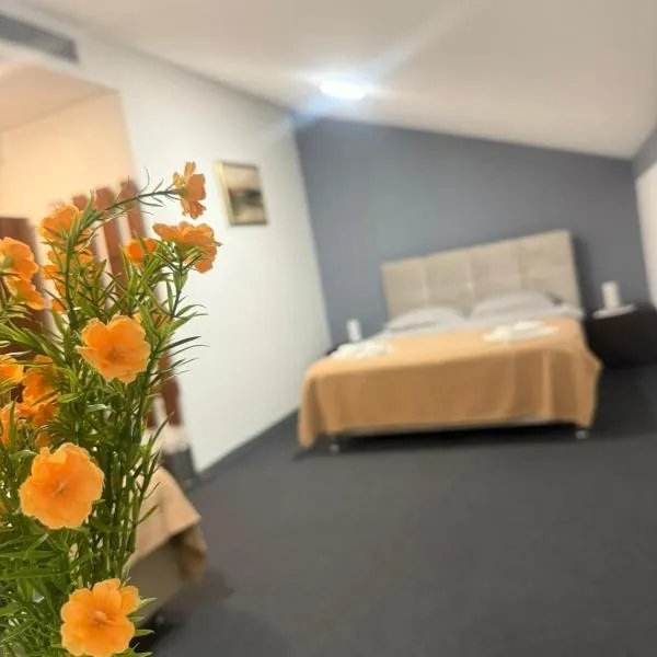 Hotel Višnjica，位于Španat的酒店