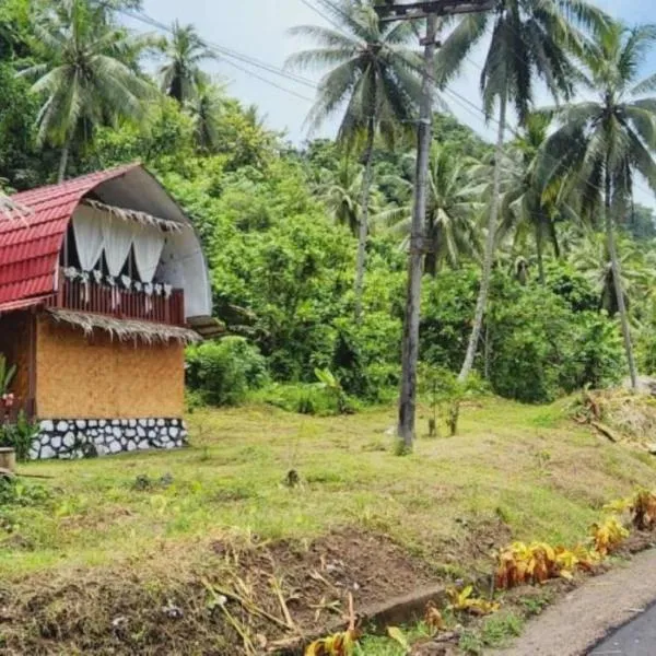 homestay noah，位于Likupang的酒店