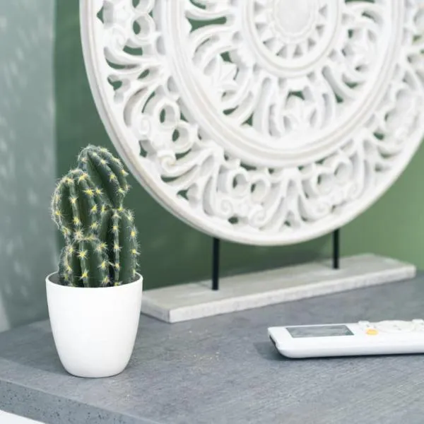 DIoOr luxurious suites By Dahlia，位于帕切维拉的酒店