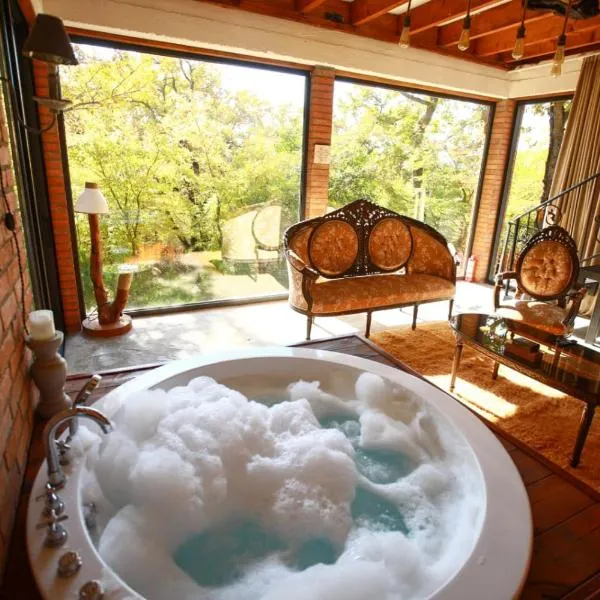 Villa Vejini cabin，位于Mamkoda的酒店