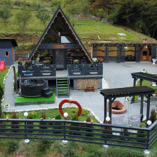 Cabana Sofia,位于Burzeşti的酒店