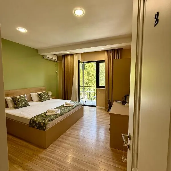 Likani Home，位于博尔若米的酒店