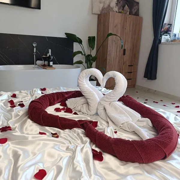 Roztoczańskie Apartamenty，位于兹维日涅茨的酒店