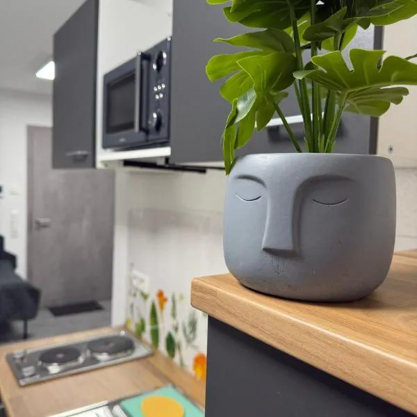 Ruhige Apartments an der Donau - Schwaben Living，位于Munderkingen的酒店