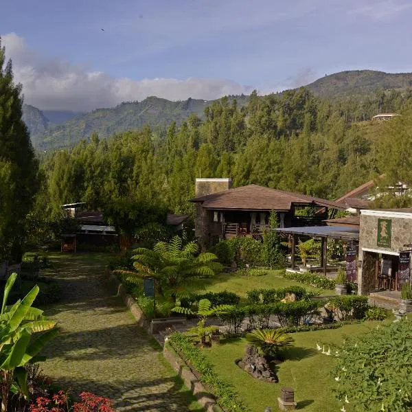 爪哇布罗莫吉瓦度假村，位于布罗莫的酒店