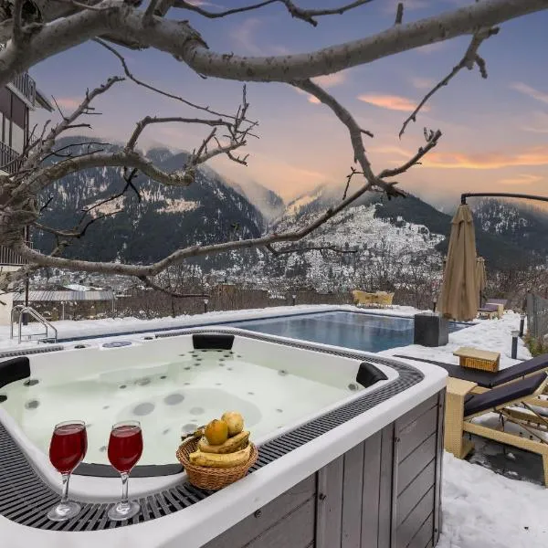 Echor Himalayan Aurum Manali，位于马拉里的酒店