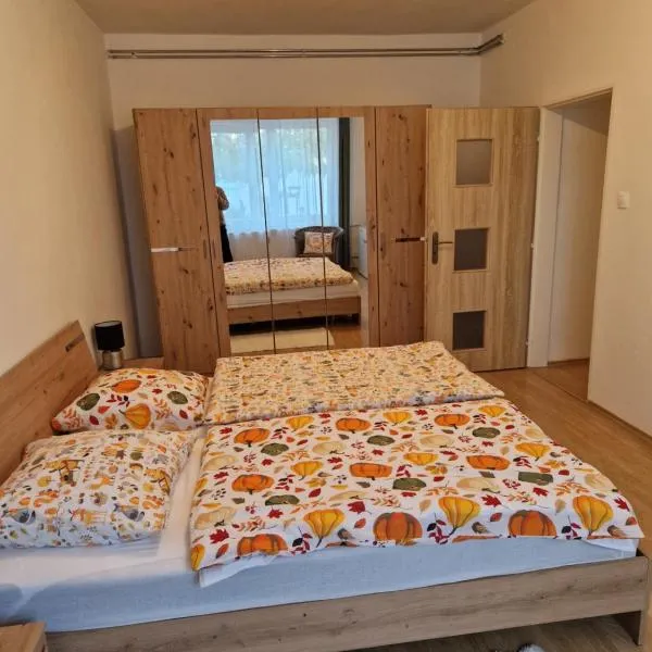 Apartman Kováčová，位于科瓦科瓦的酒店