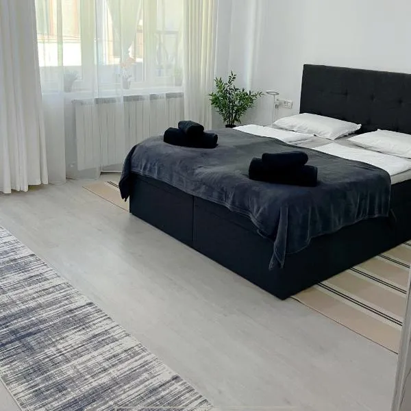 Lisis Premium Apartments，位于雷希察的酒店