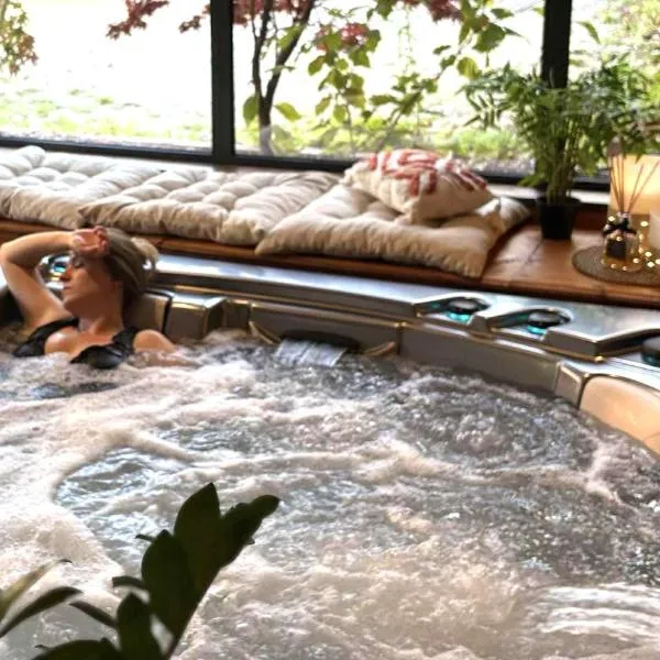 Hôtel Au Coq Dort Spa，位于沙拉龙恩河畔沙蒂利翁的酒店