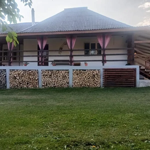 Casa Dyasof，位于Rohia的酒店