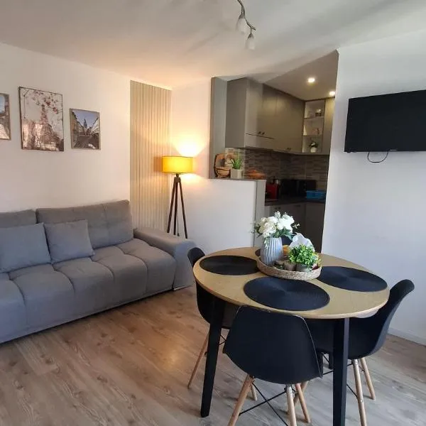 Free Private Garage in the Center-Delicia 4 ApartHotel，位于锡比乌的酒店