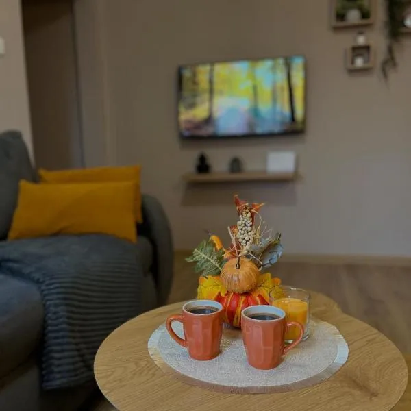 Apartman Momirov Titel，位于Železnička Stanica Donji Titel的酒店