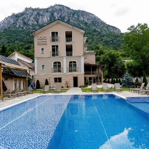 Pensiunea JOJO Imperial Resort&Spa，位于伯伊莱海尔库拉内的酒店