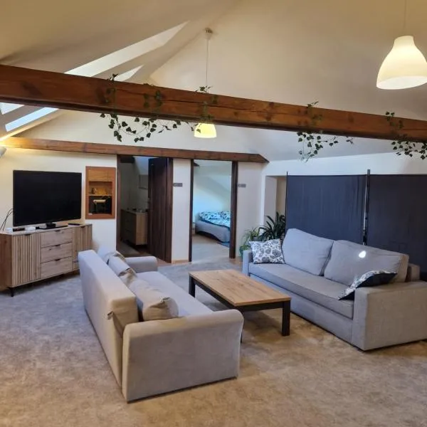 Noclegi Opole-Chmielowice Apartament C，位于奥普尔的酒店