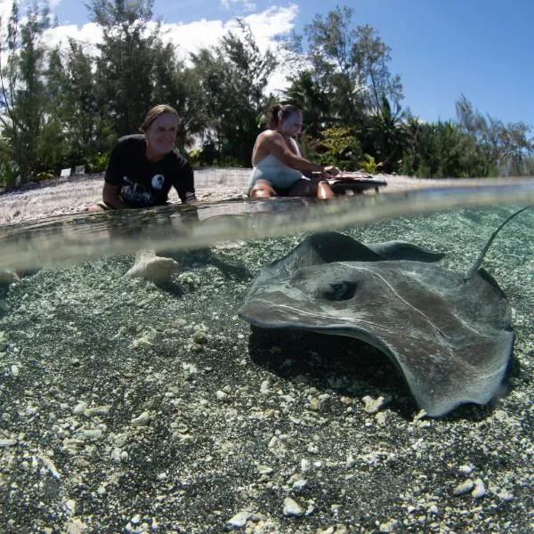Manomano Lodge，位于帕帕拉的酒店