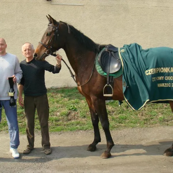 Farma Bartolini，位于Więcbork的酒店