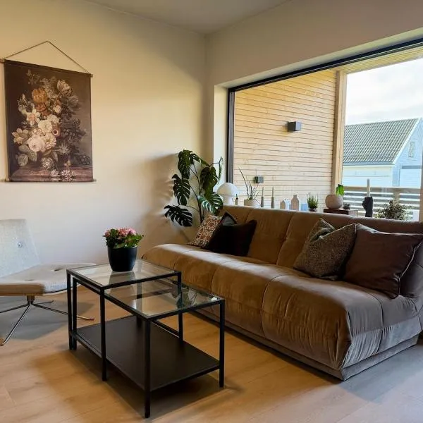 New modern apartment，位于桑讷菲尤尔的酒店