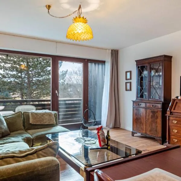 Ferienwohnung Angela，位于绍纳赫的酒店