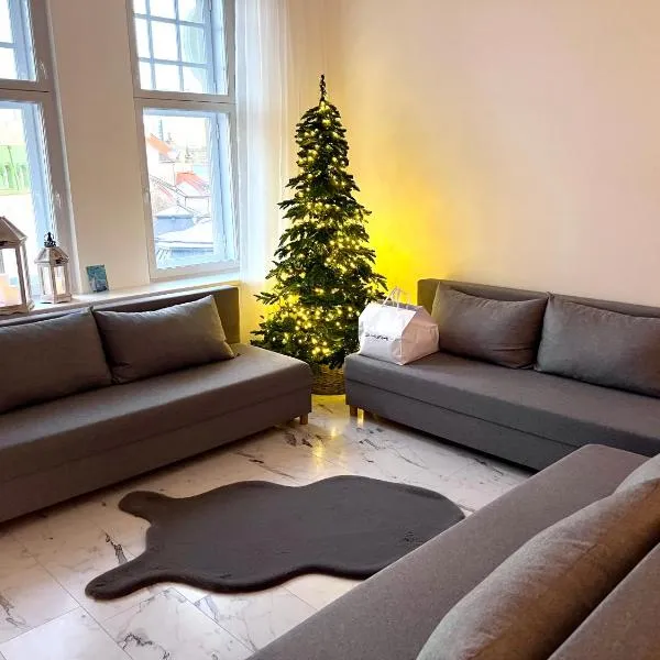 Old Town 3Room Apartment，位于塔林的酒店