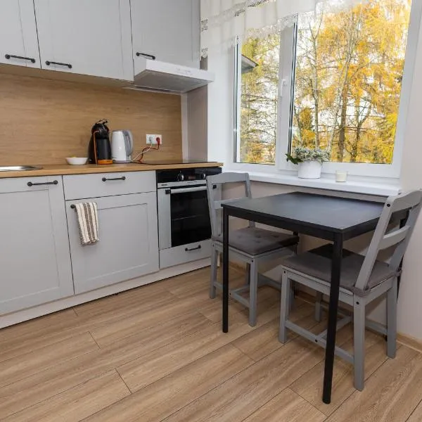 Obinitsa Apartment，位于Obinitsa的酒店