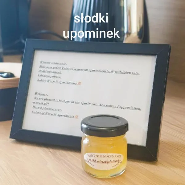 Kolory Warmii Apartamenty Biały i Szary，位于奥尔什丁的酒店