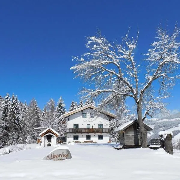 Lettnerhof Bnb Wohnung 5，位于蒙圭尔福的酒店