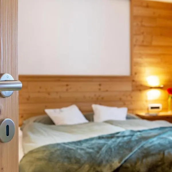 Ciasa Majonade Pozza di Fassa tipo1，位于博萨迪法萨的酒店