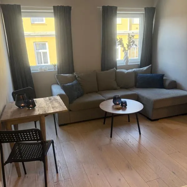 Notodden Sentrum Apartment NO 4，位于诺托登的酒店
