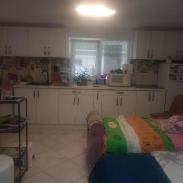 Casă țărănească Marika，位于Remetea的酒店