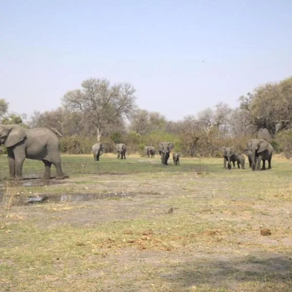 Khwai Game Lodge and Campsite，位于Khwai的酒店