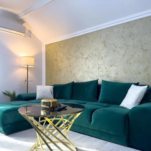 S&S Apartment 1 bedroom with balcony and garden free Parking at location 2 spaces，位于蒂米什瓦拉的酒店