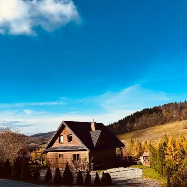 Bieszczady Żubrowe Wzgórze 785-049-543，位于Stężnica的酒店