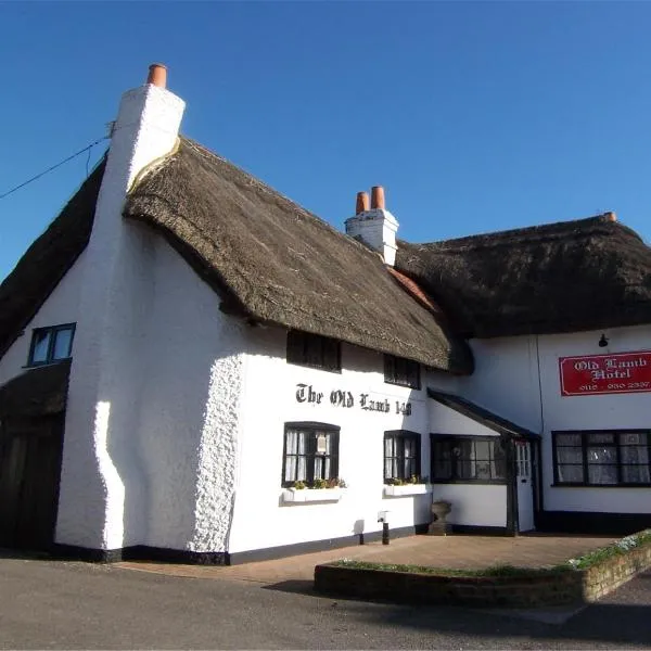 The Old Lamb，位于雷丁的酒店