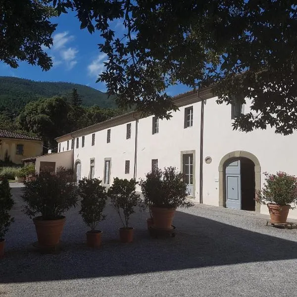 Agriturismo Il Frantoio Di Colle Alberto，位于Cantagallo的酒店