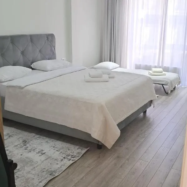 Airport RMO，位于基希讷乌的酒店