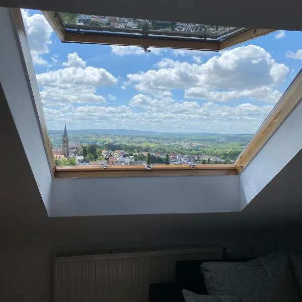 Ruhige Wohnung Saarbrücken Waldrand，位于萨尔布吕肯的酒店