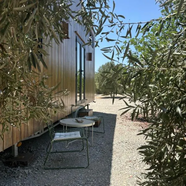 Tiny House，位于Pereiro的酒店