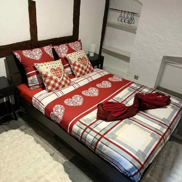 Le petit nid de cigogne，位于科尔马的酒店